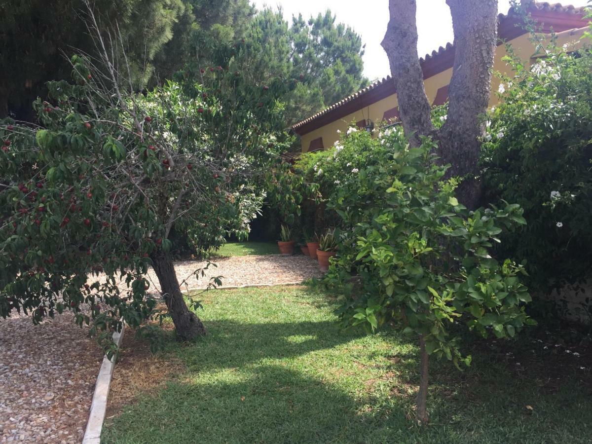 Villa Girasoles à Chiclana de la Frontera Extérieur photo